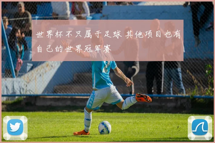 世界杯不只属于足球 其他项目也有自己的世界冠军赛