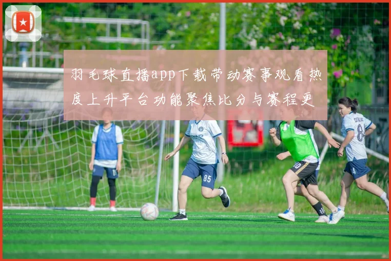 羽毛球直播app下载带动赛事观看热度上升平台功能聚焦比分与赛程更新