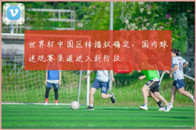 世界杯中国区转播权确定，国内球迷观赛渠道进入新阶段