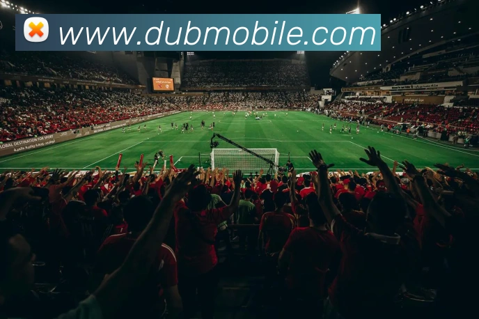 多媒体互动体验